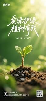 回归节奏的